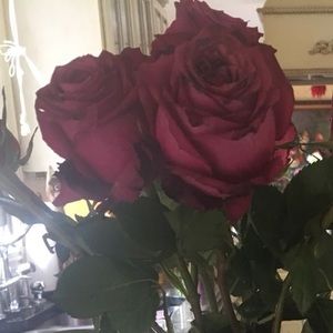 Meet your Posher, Miriana